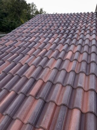 WhatsApp Image 2024 05 11 At 10.50.23