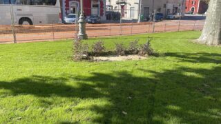 Allestimento Aree Urbane6